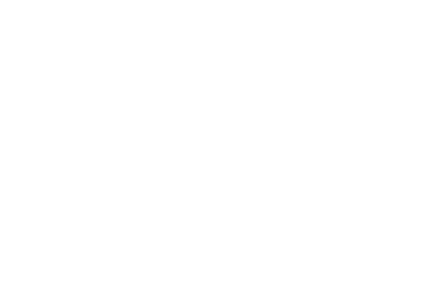 Wonderlands Studio